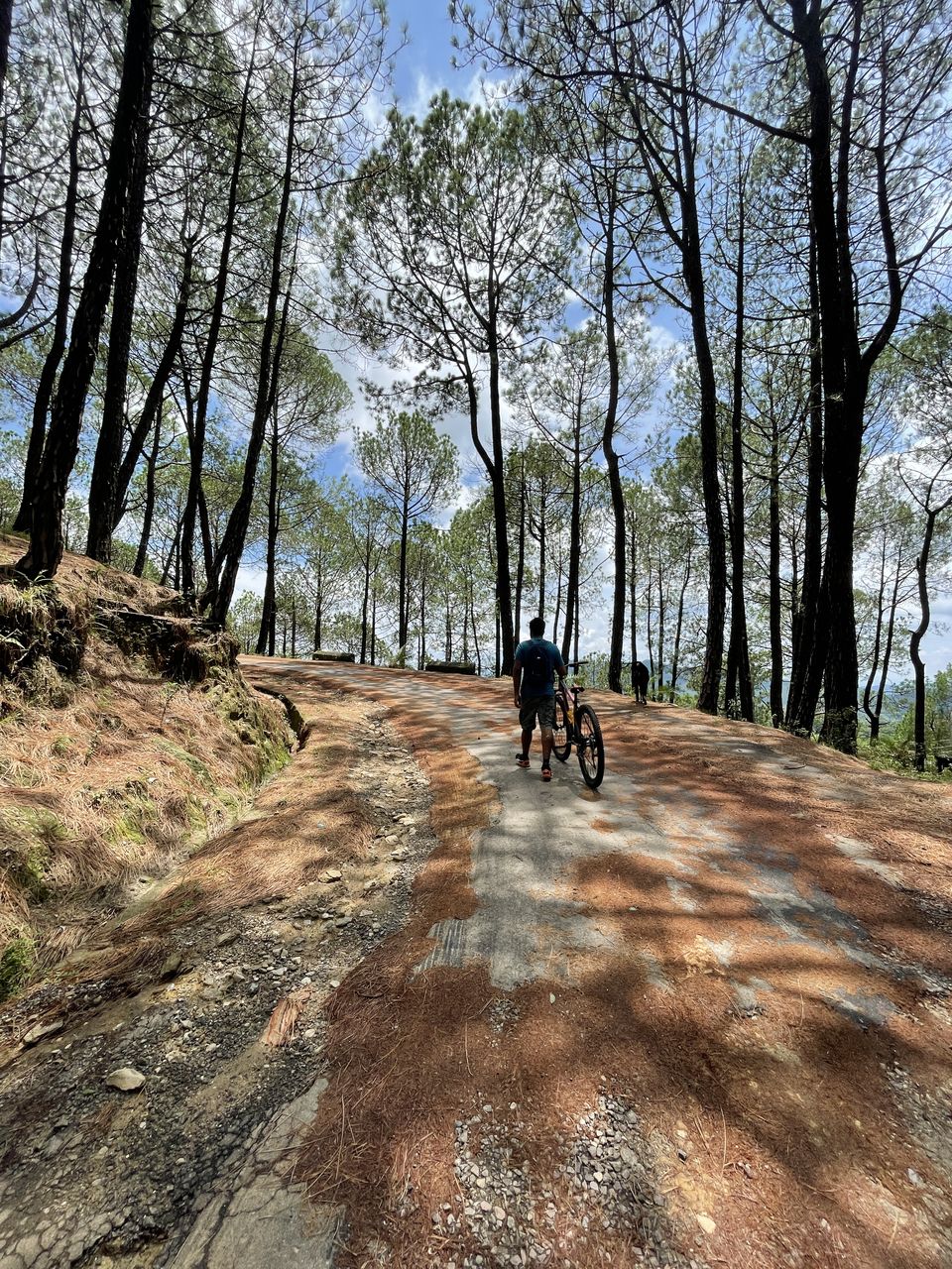 Photo of 6 Reasons Why Bir is The Best Hill Station in Himachal For a Weekend Getaway by Vedant Khanduja