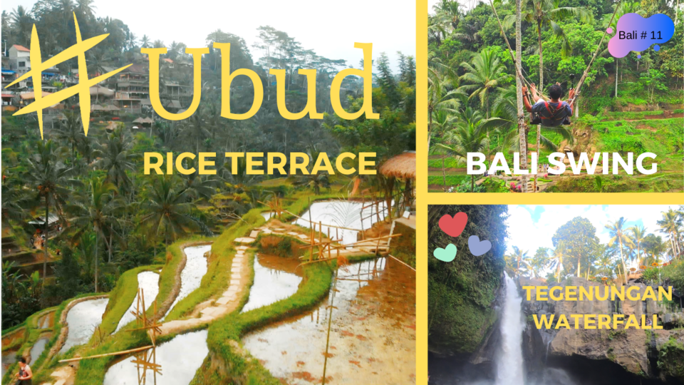 Photo of Tegalalang Rice Terrace l Bali Swing l Tegenungan Waterfall l Bali Tour Guide in Hindi by Wandering Monk