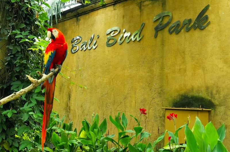 Photo of This is how I saw Bali on a budget , You can too! by Wandering Monk
