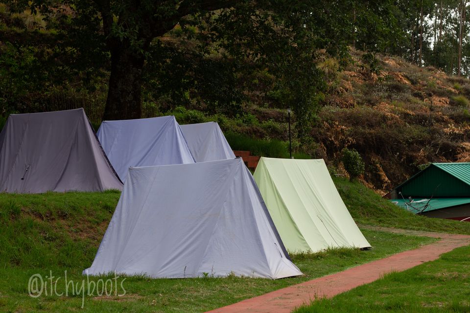 Photo of KFDC Base Camp, Kannan Devan Hills, Kerala, India by Jiiva