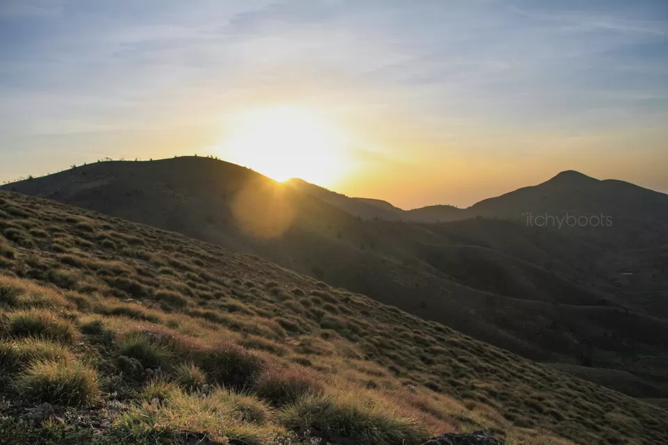 Photo of Meeshappulimala View Point, Munnar, Kerala, India by Jiiva