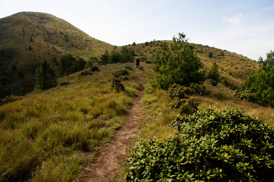 Photo of Meesapulimala, Trek to the Third highest peak of Western Ghats [Day-2] by Jiiva