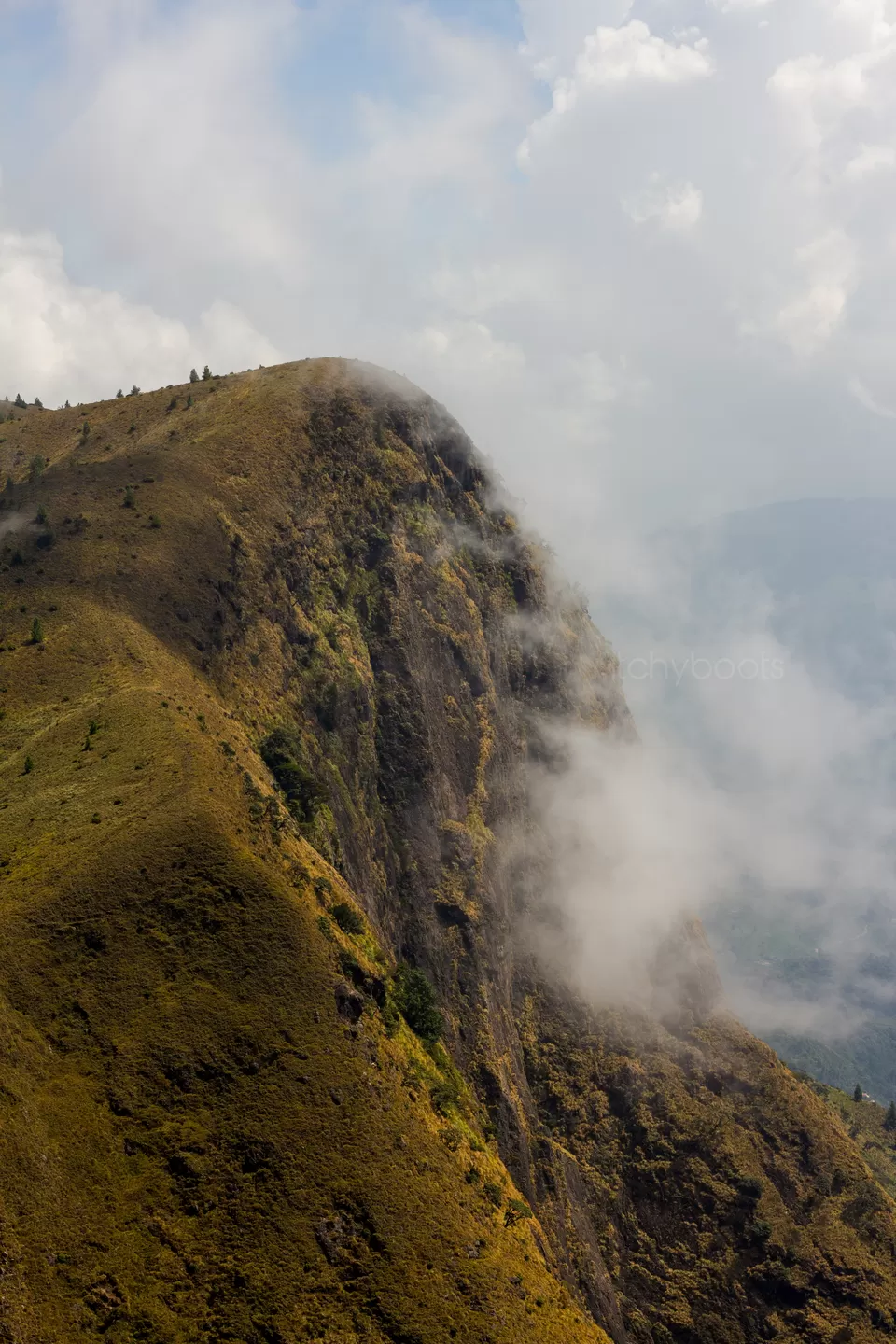 Photo of Meesapulimala, Trek to the Third highest peak of Western Ghats [Day-2] by Jiiva
