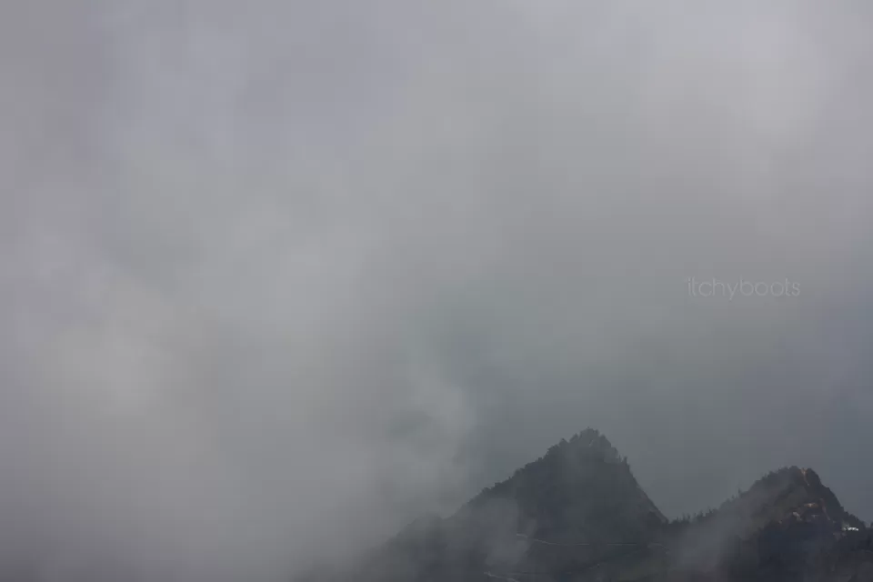 Photo of Meesapulimala, Trek to the Third highest peak of Western Ghats [Day-2] by Jiiva