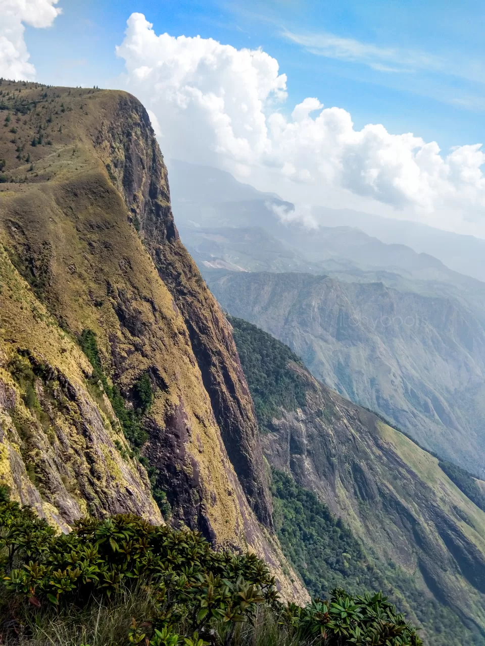 Photo of Meesapulimala, Trek to the Third highest peak of Western Ghats [Day-2] by Jiiva
