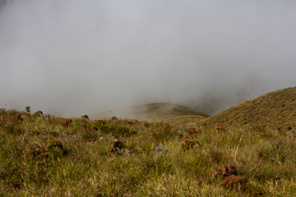 Photo of Meesapulimala, Trek to the Third highest peak of Western Ghats [Day-2] by Jiiva