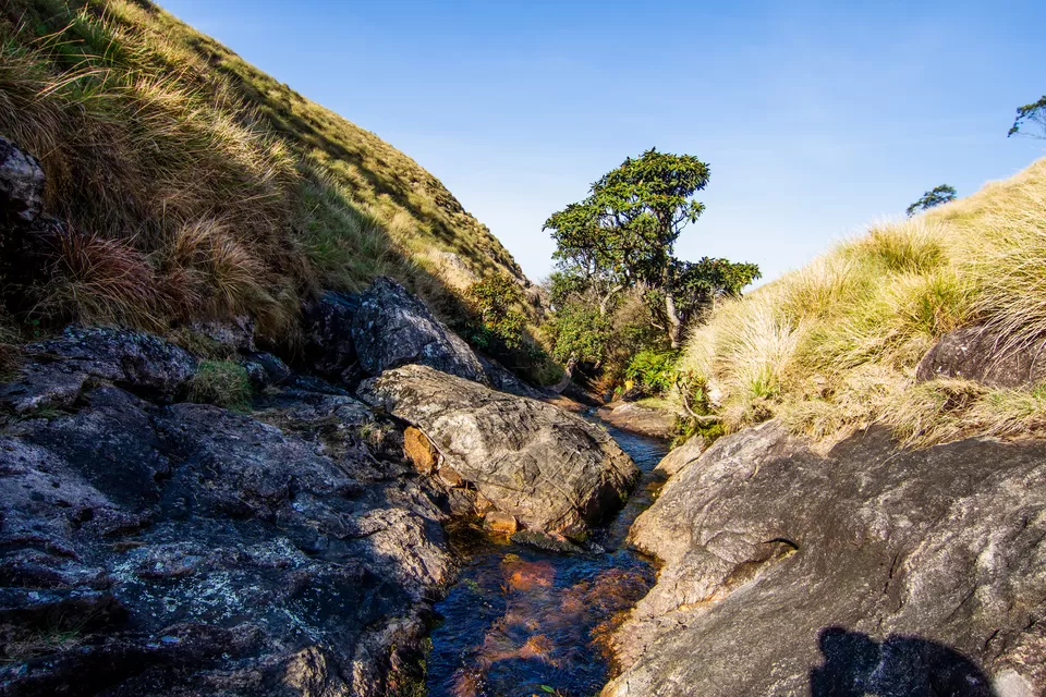 Photo of Meesapulimala Waterfalls, Kannan Devan Hills, Kerala, India by Jiiva