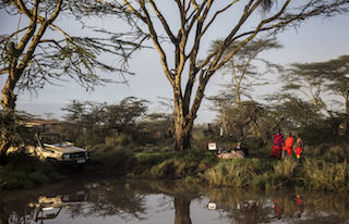 Photo of KENYA LUXURY LODGE SAFARI by Aleko Africa Safaris