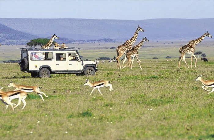 Photo of Experience Wildebeest Migration at the Masai Mara by Aleko Africa Safaris