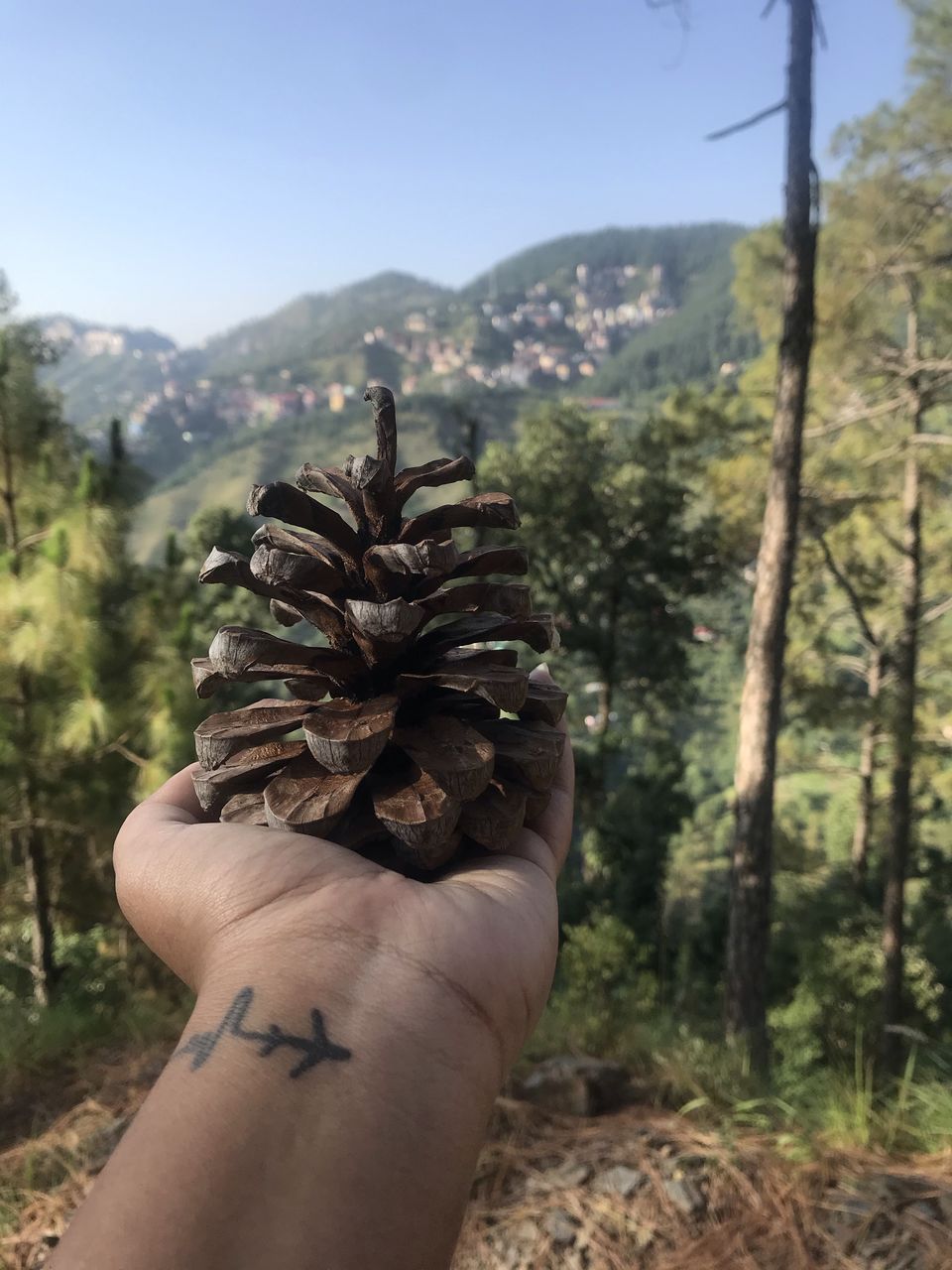 Photo of Rediscovering Shimla - Pandemic Version! 1/2 by Akshita Duggal