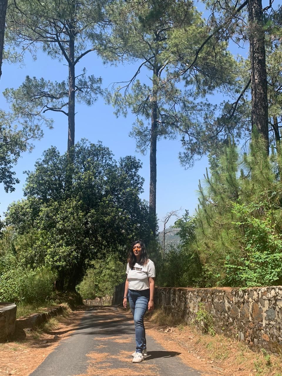 Photo of Rediscovering Shimla - Pandemic Version! 2/2 by Akshita Duggal