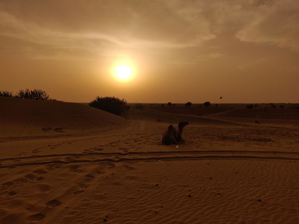 Photo of Maro Tharo Rajasthan by Yashika Dayal