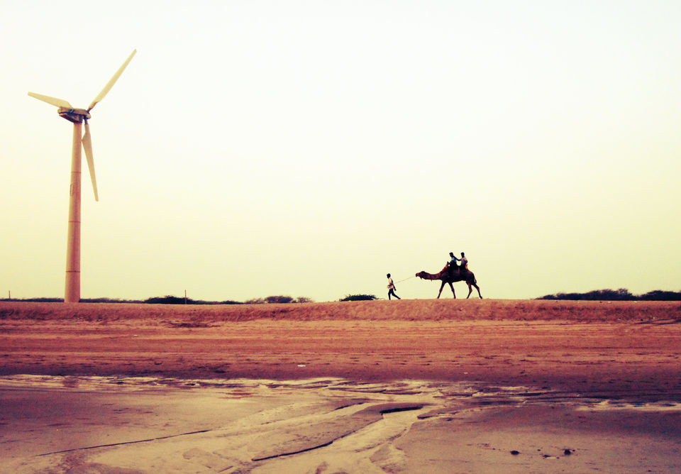 Photo of The Beaches In Gujarat Have Stayed Ignored For Too Long by Piyush Tripathi