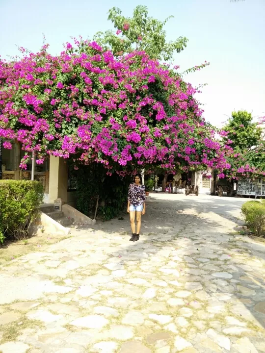 Photo of Naila Bagh Palace, Jaipur, Rajasthan, India by Abhigya S