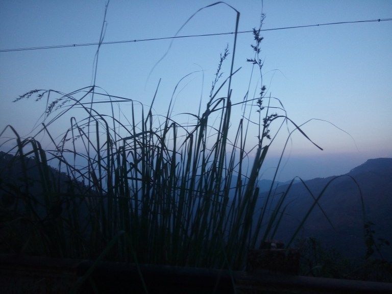 Photo of Kodaikanal, Tamil Nadu, India by Stuti Gupta