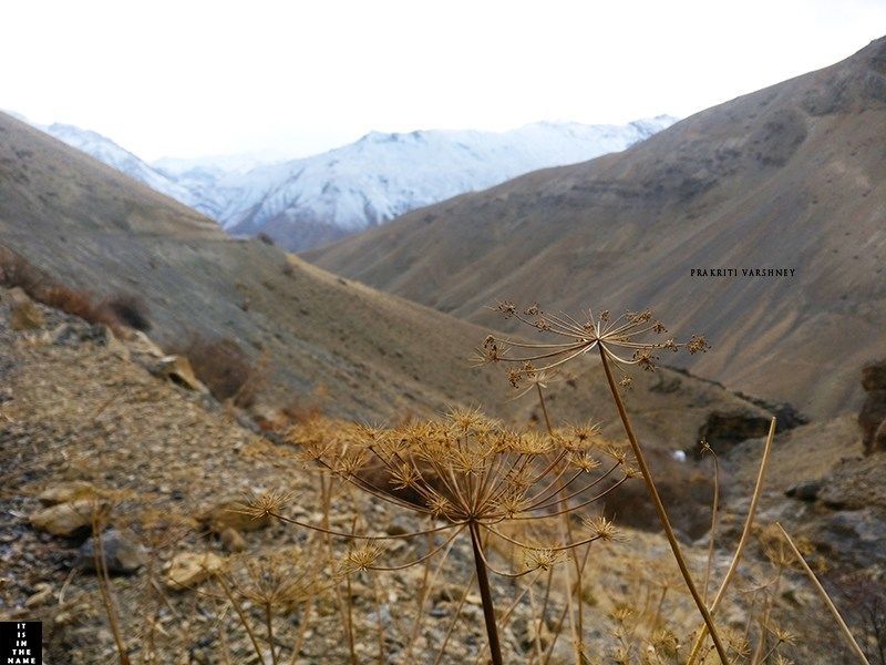 Photo of I reached Langza on Stretcher | Winters in Spiti Valley by Prakriti Varshney