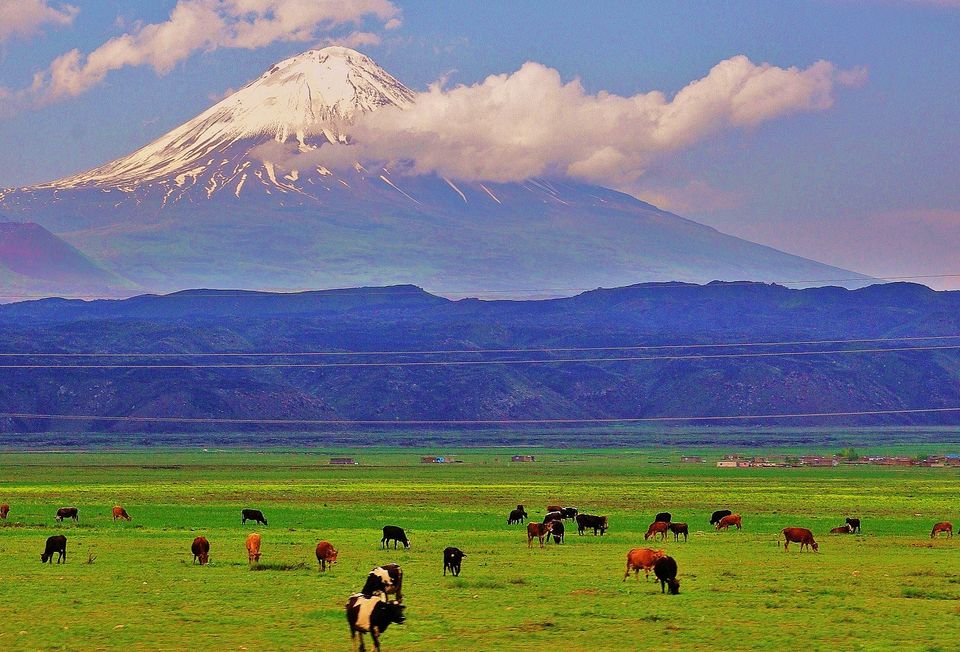 Photo of Ararat, Turkey: Home To Noah's Ark 9/12 by Abhigya S