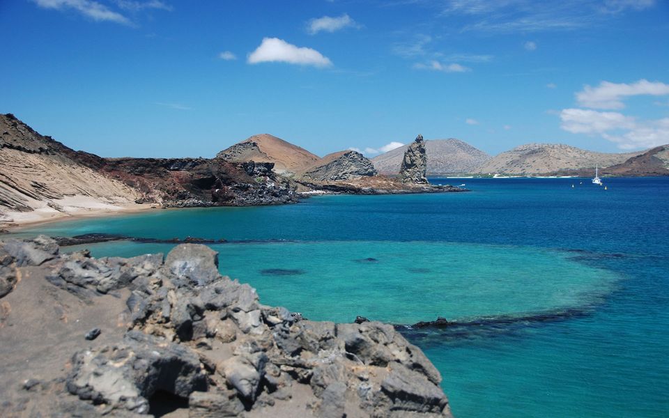 Photo of Galapagos Islands: Wildlife and more! 3/16 by Abhigya S