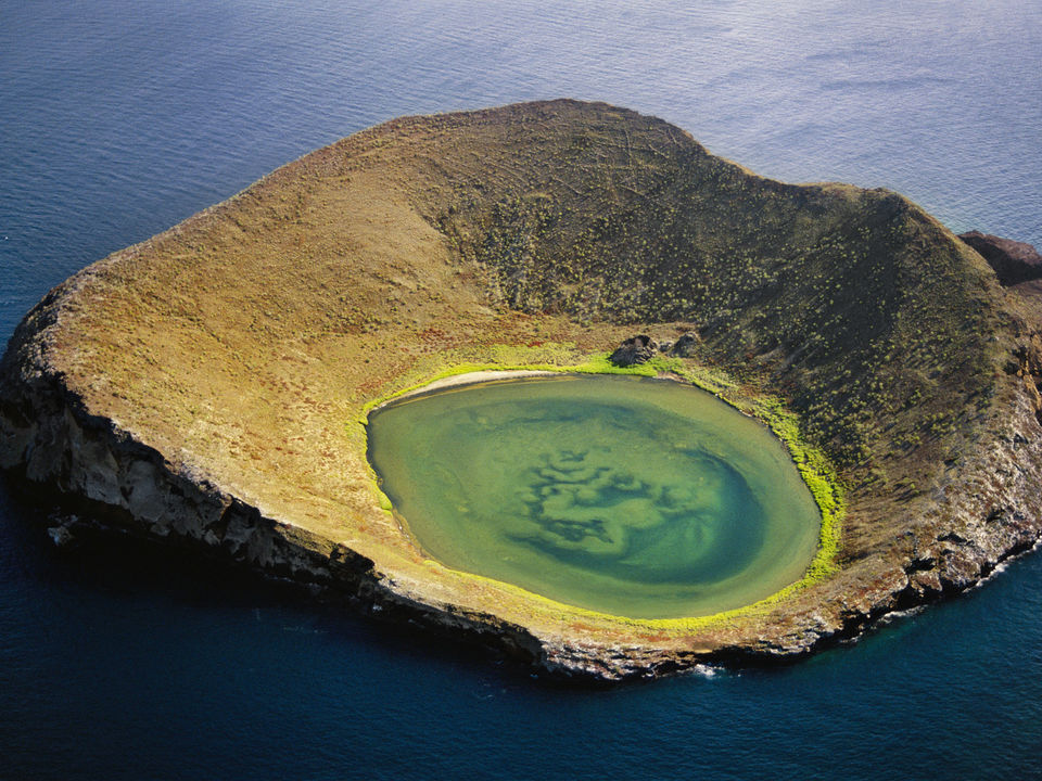 Photo of Galapagos Islands: Wildlife and more! 11/16 by Abhigya S