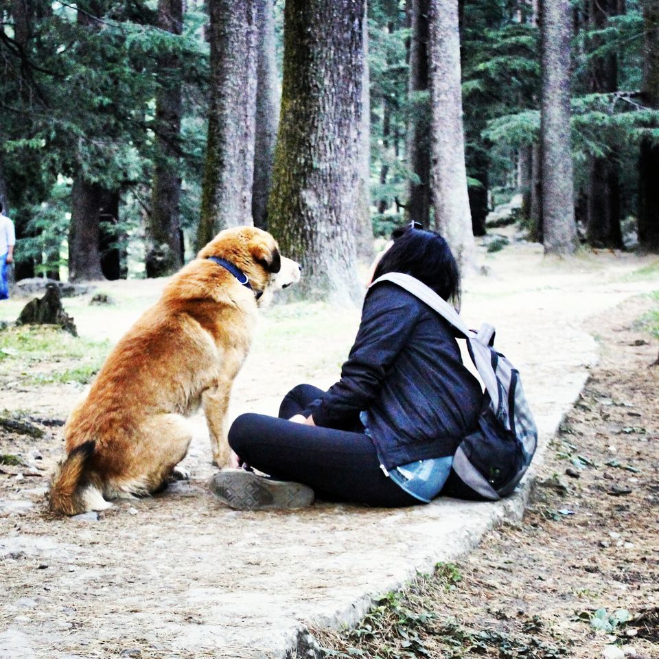 Photo of Why Do We Need To Travel After A Heartbreak?! by Abhigya S