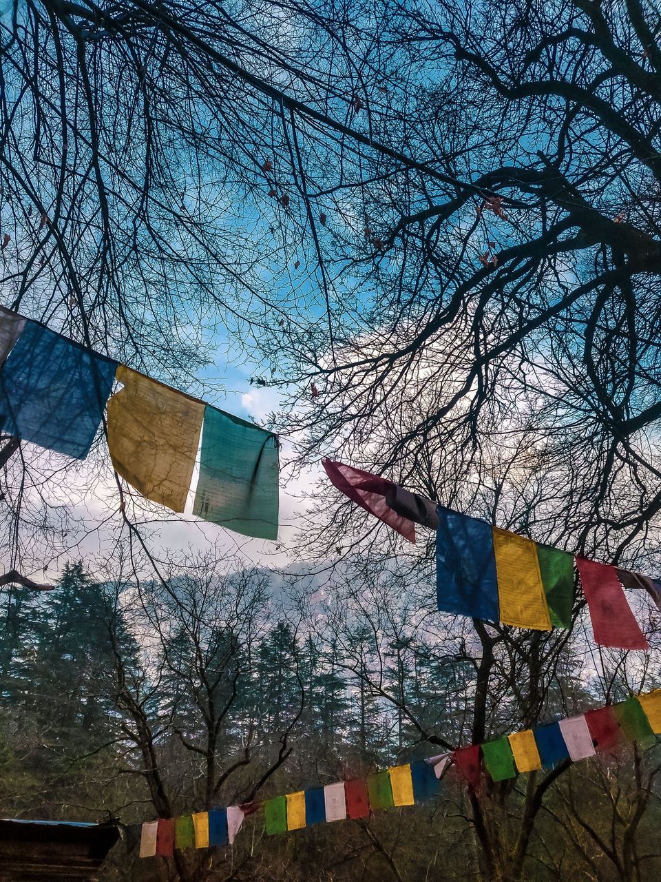 Photo of Why I'll Never Visit Himachal's Most Popular Hill Station Again! 1/1 by Abhigya S