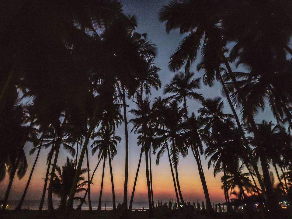 Photo of What Happens In Goa, Shall Stay In Goa! A Joint Story 2/4 by Abhigya S