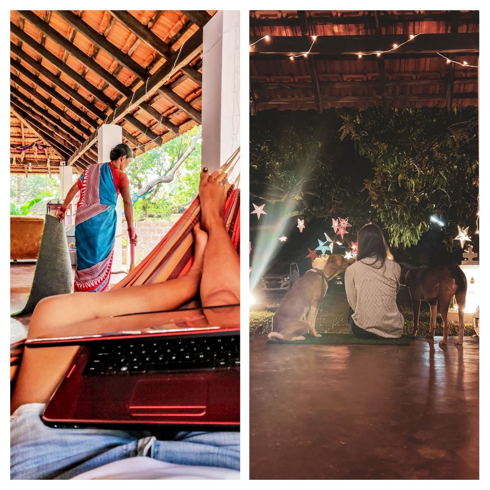 Photo of As A Solo Woman Traveler, I Survived Backpackers' Hostels For 3 Months! 3/4 by Abhigya S