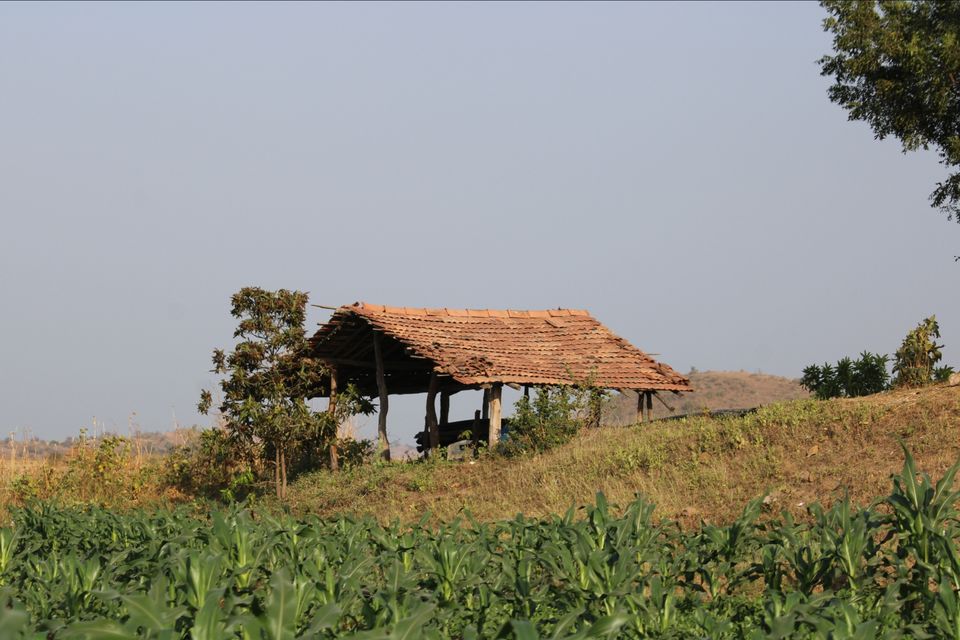 Photo of Ukai Dam by Nirav Dhimmar
