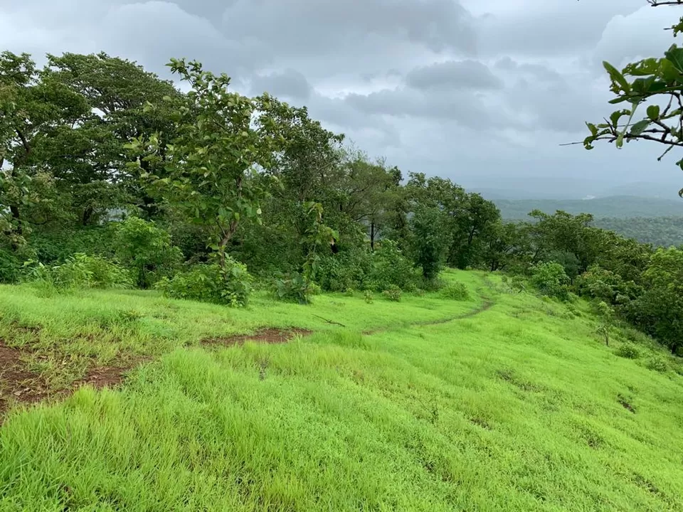 Photo of ROOPGADH FORT#roopgadhfort#moonsoon#forest#cloud#scrazyfriends#goodvibes#fort#trekking by Nirav Dhimmar