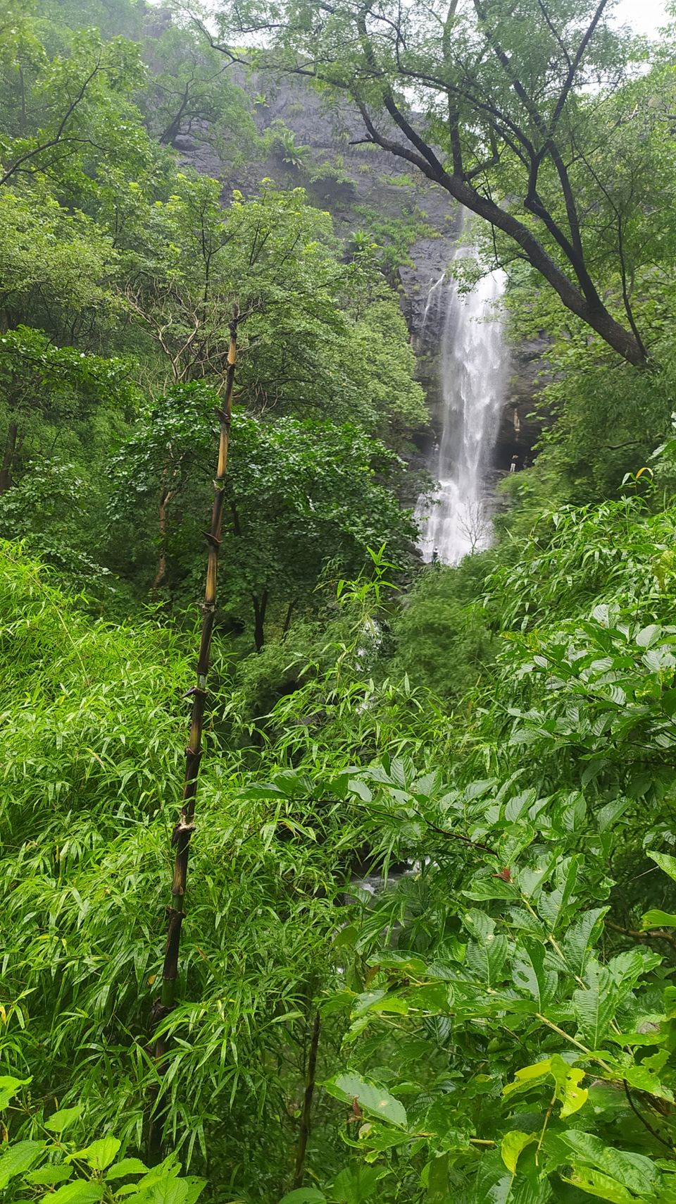 Photo of ANJANI CAVE & WATERFALL#waterfall#dang#gujarat#moonsoon#nature by Nirav Dhimmar