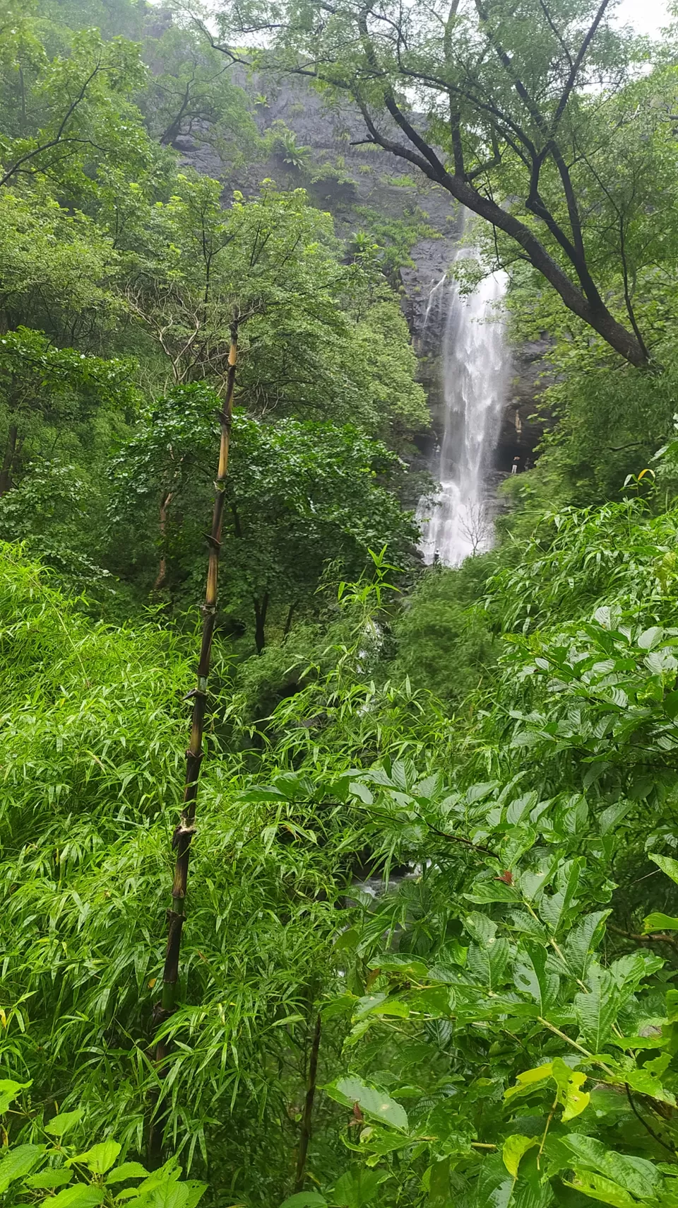 Photo of ANJANI CAVE & WATERFALL#waterfall#dang#gujarat#moonsoon#nature by Nirav Dhimmar