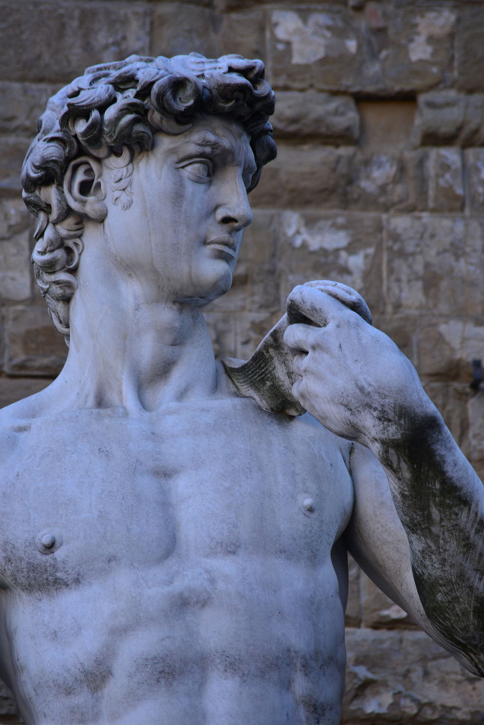 Photo of Florence, Metropolitan City of Florence, Italy by Abhinaba Chatterjee