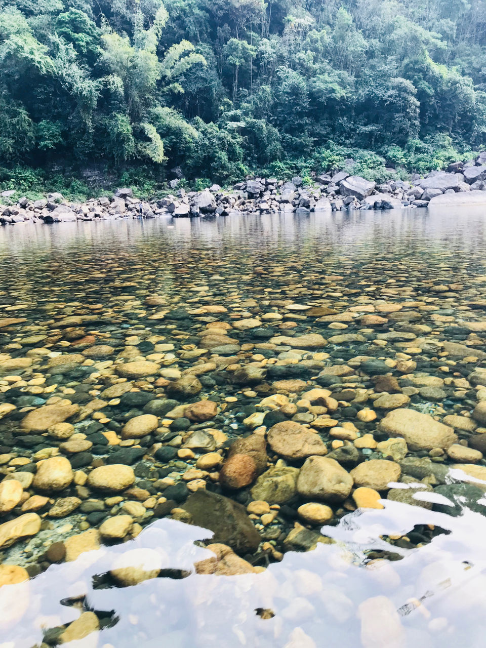 Photo of मेघालय भारत का नीदरलैंड या स्विट्ज़रलैंड by Soni’s Creation