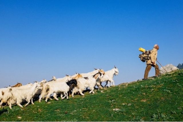 Photo of 23 astonishing travel photos of Himachal that will leave you speechless by Mayank Rana