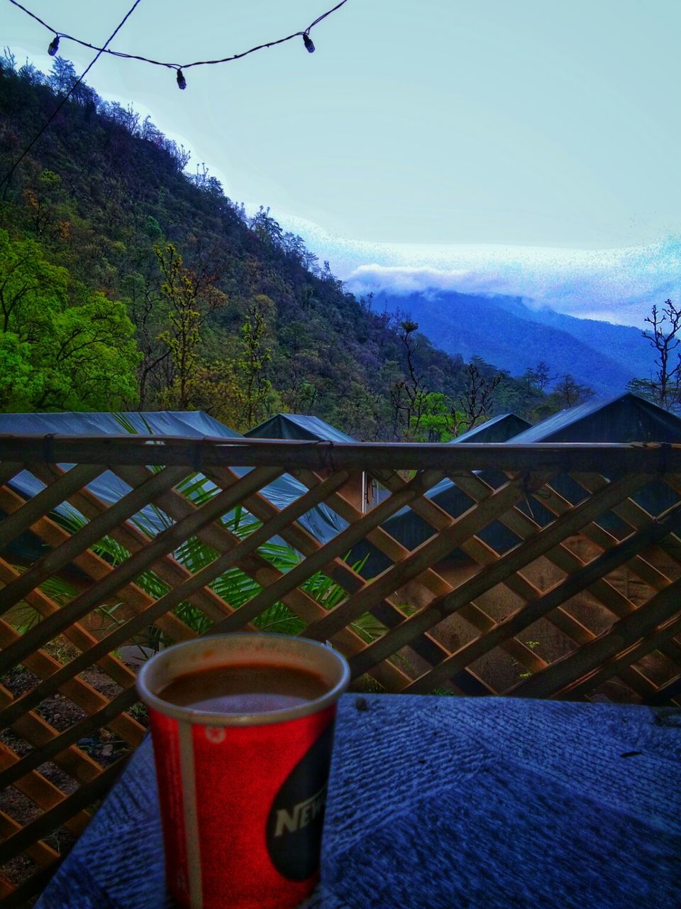 Photo of Parmarth Niketan Ashram, Ram Jhula, Swarg Ashram, Rishikesh, Uttarakhand, India by The nomadic girl
