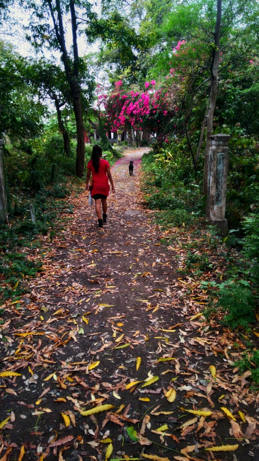Photo of Beatles Ashram, Swarg Ashram, Rishikesh, Uttarakhand, India by The nomadic girl