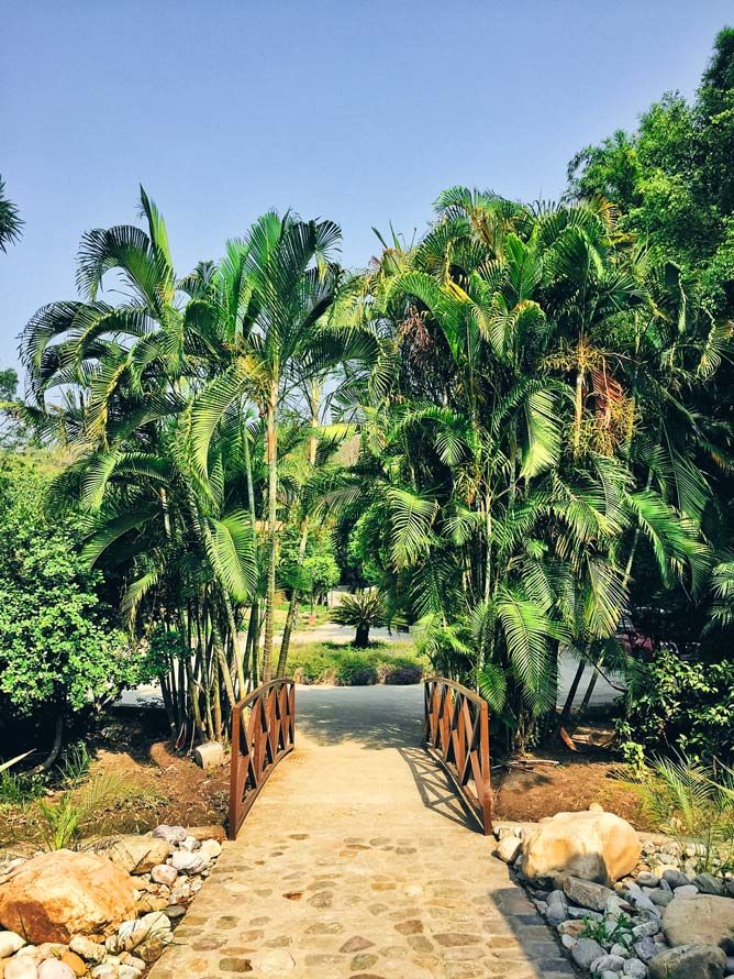 Photo of Jim Corbett National Park - The Natural Habitat feat. Tarangi Resort and Spa 3/46 by Sayanti Mahapatra
