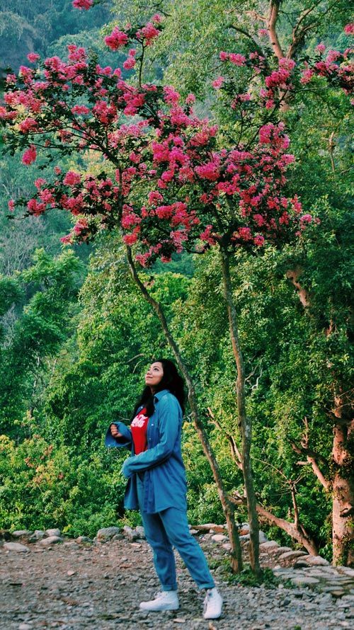 Photo of Jim Corbett National Park - The Natural Habitat feat. Tarangi Resort and Spa 28/46 by Sayanti Mahapatra