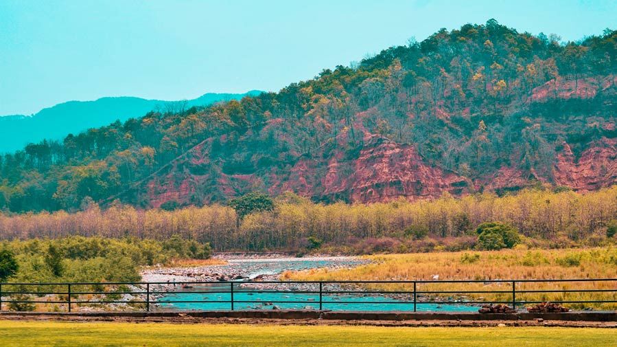 Photo of Jim Corbett National Park - The Natural Habitat feat. Tarangi Resort and Spa 33/46 by Sayanti Mahapatra
