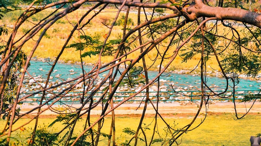 Photo of Jim Corbett National Park - The Natural Habitat feat. Tarangi Resort and Spa 44/46 by Sayanti Mahapatra