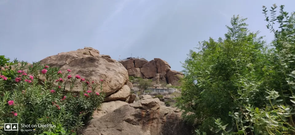 Photo of Amazing Trip by Jagathi Velpuri