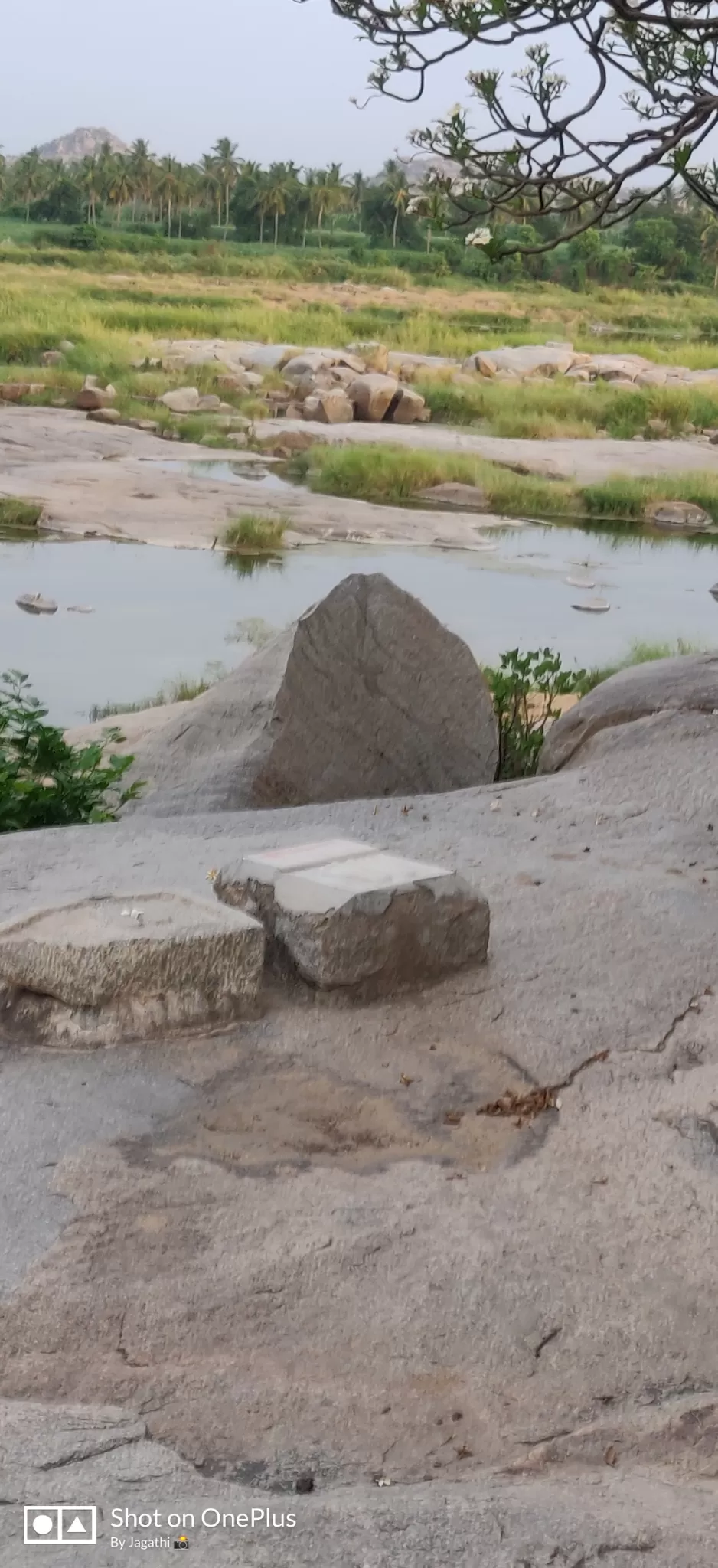 Photo of Amazing Trip by Jagathi Velpuri