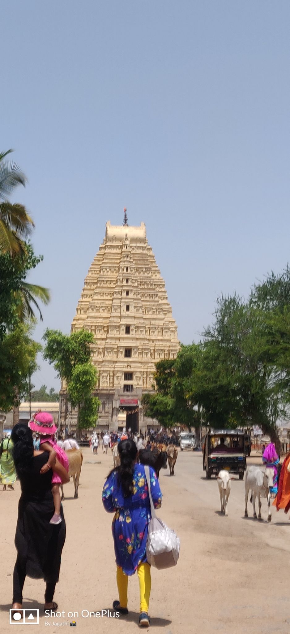 Photo of Amazing Trip by Jagathi Velpuri
