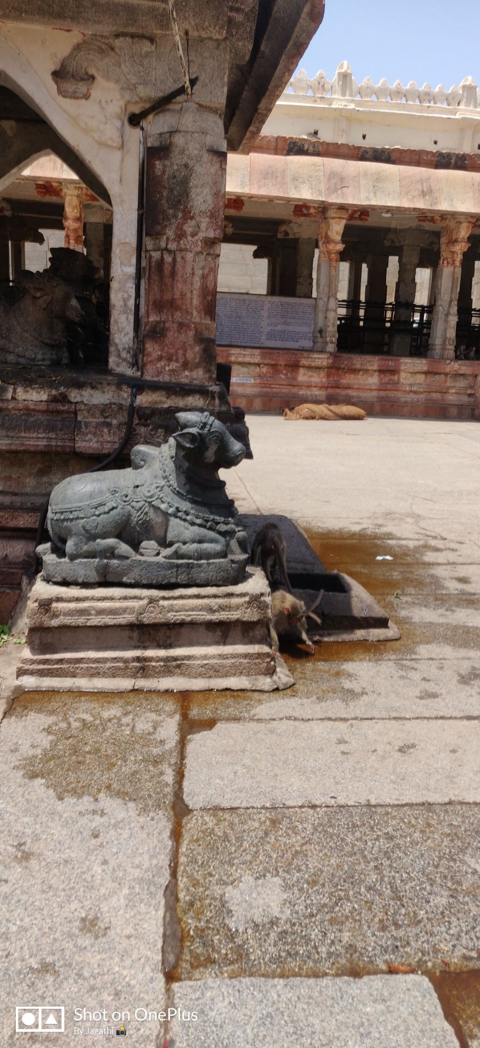 Photo of Hampi Bazaar Street, Karnataka, India by Jagathi Velpuri