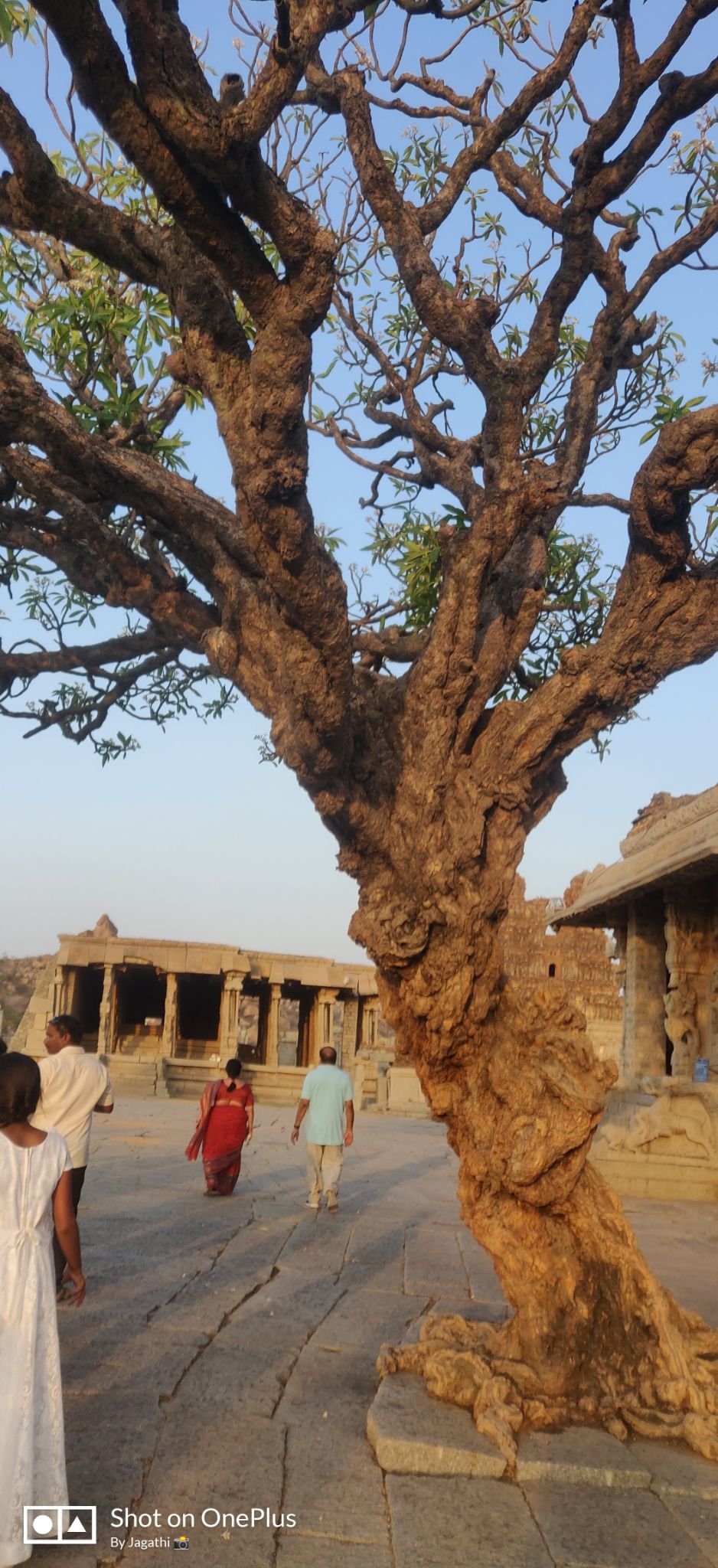 Photo of Hampi Bazaar Street, Karnataka, India by Jagathi Velpuri