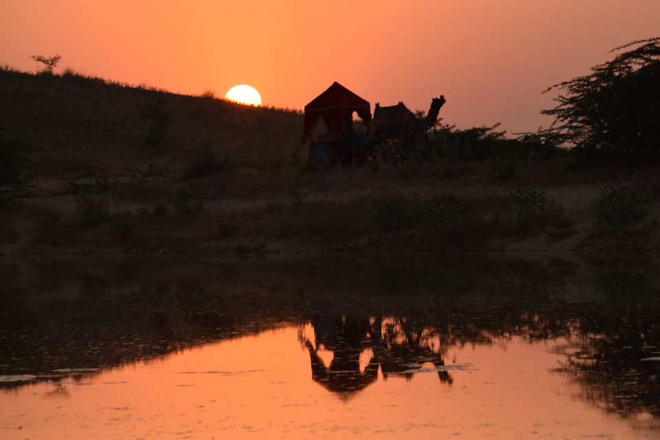 Photo of The perfect photographers guide for the Worlds largest camel fair- Pushkar Mela! by Reeti Agarwal
