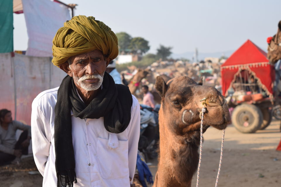 Photo of The perfect photographers guide for the Worlds largest camel fair- Pushkar Mela! 3/3 by Reeti Agarwal