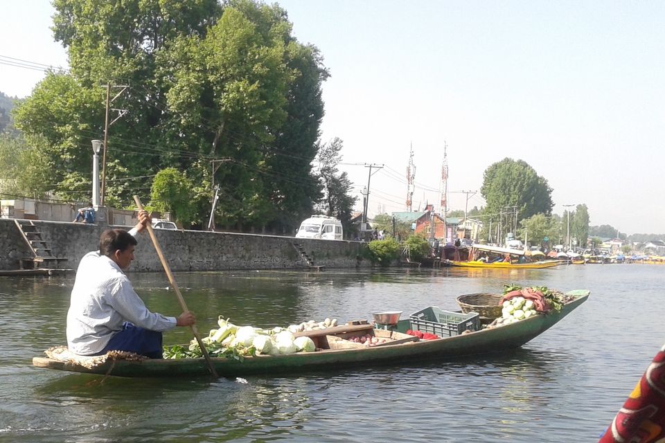 Photo of Houseboats-The floating Houses of Kashmir 14/14 by Nitish Arora