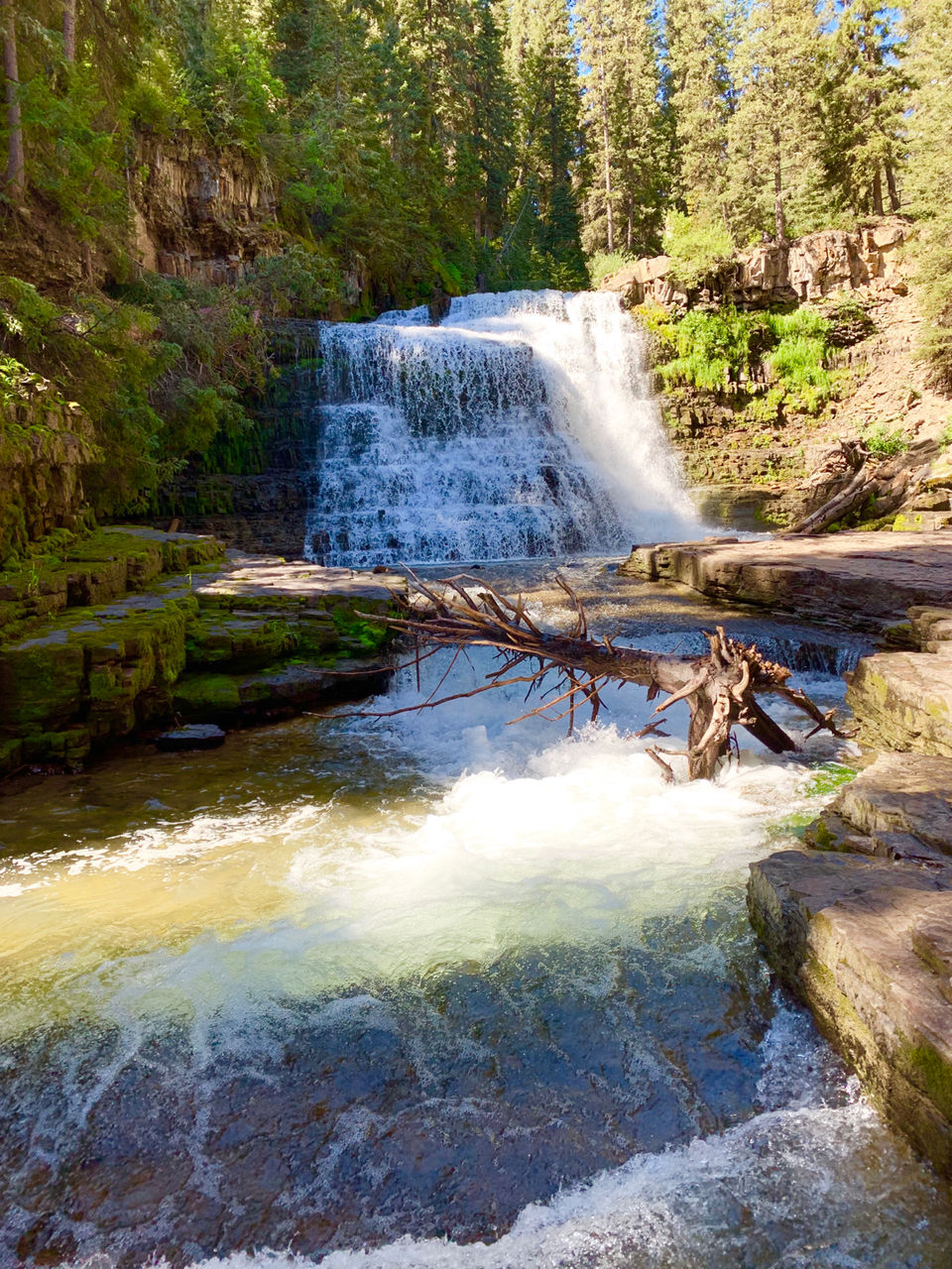 Photo of Ousel Falls, Big Sky, MT, USA by Emily Eisenberg