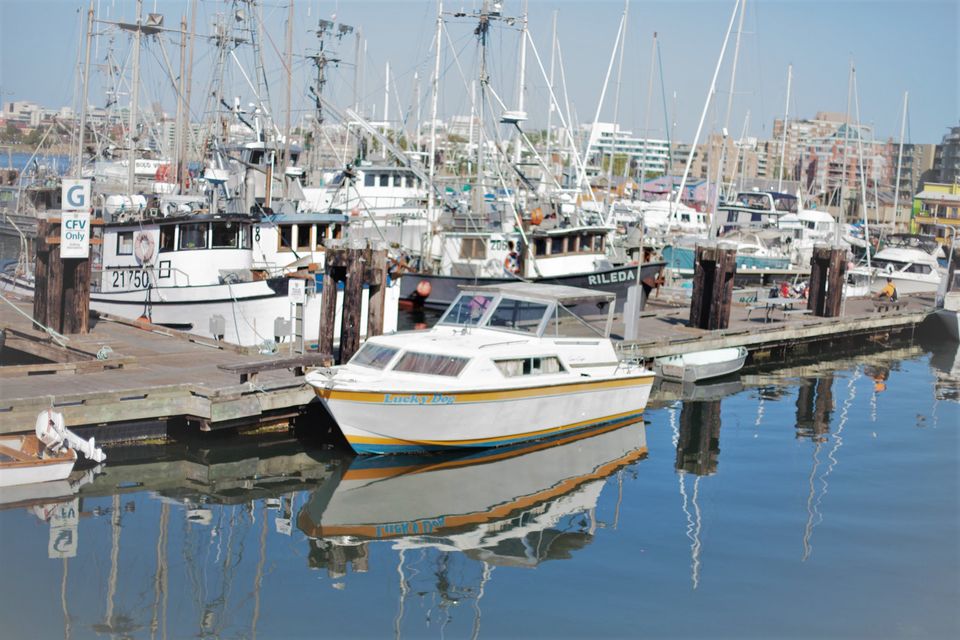 Photo of A day in Victoria, Canada 3/9 by AK Sandhu